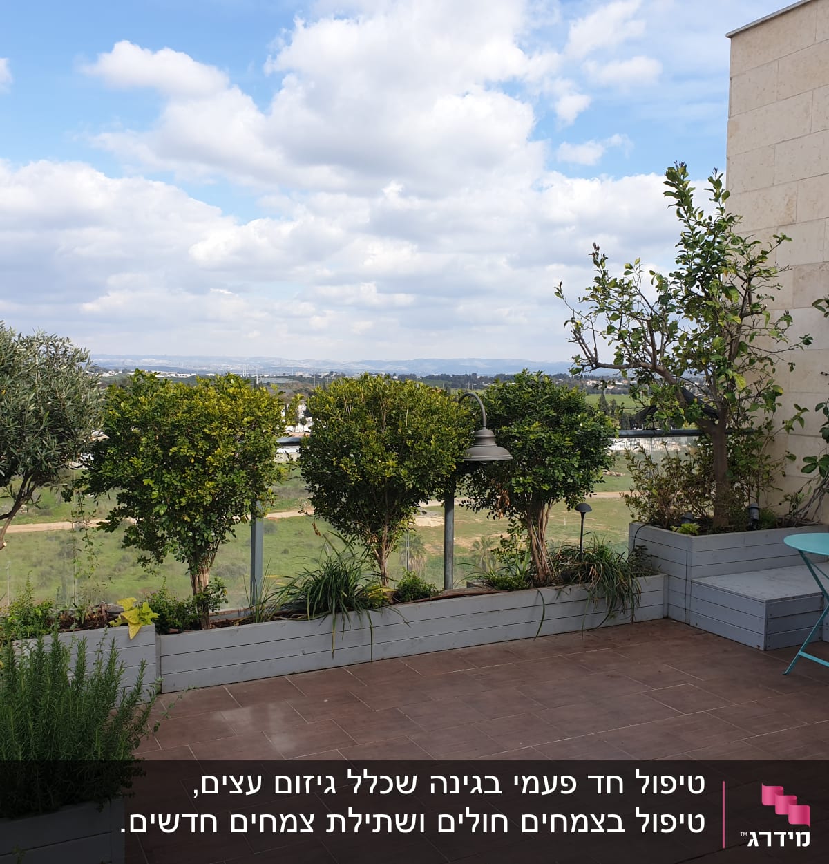 עצים ושיחים בעציצים על מרפסת עם שולחן קטן